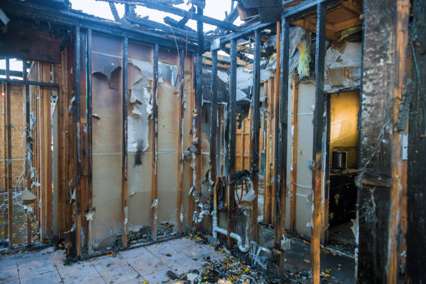 Professional Odor Removal technician working in Goulds, FL